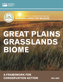 Great Plains Grasslands Biome
Framework