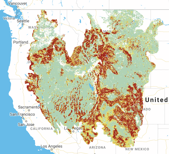 Map of categorical tree cover.