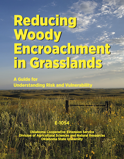 Reducing Woody Encroachment in
Grasslands